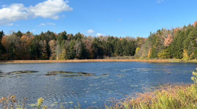 Skim Lake in the center of Camp Vick in Freedom NY